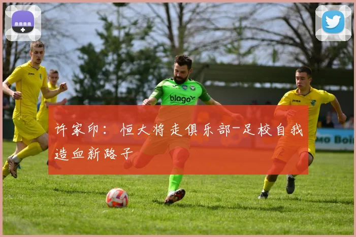 许家印：恒大将走俱乐部-足校自我造血新路子