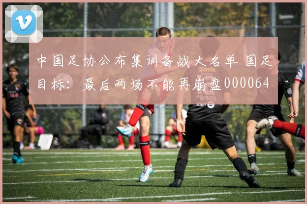 中国足协公布集训备战大名单 国足目标：最后两场不能再崩盘0000644