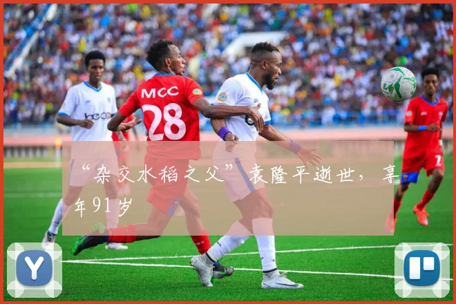 “杂交水稻之父”袁隆平逝世，享年91岁